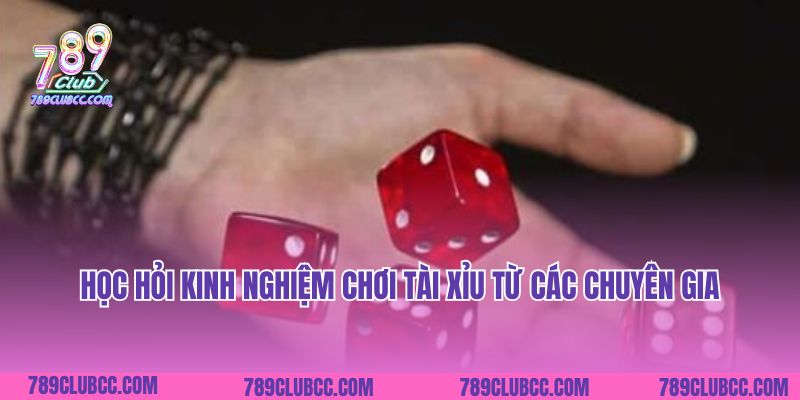 Học hỏi kinh nghiệm chơi tài xỉu từ các chuyên gia