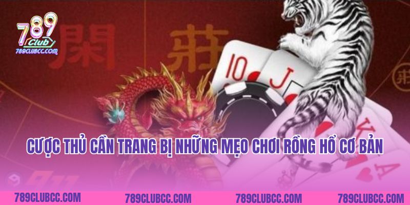 Cược thủ cần trang bị những mẹo chơi Rồng Hổ cơ bản